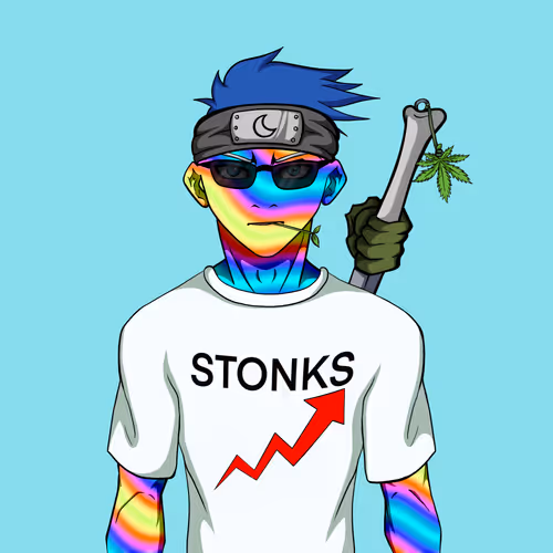 Ninja #8691
