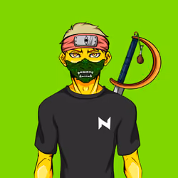 Ninja #117