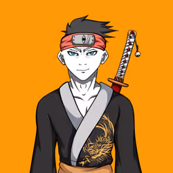 Ninja #2043