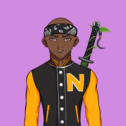 Ninja #4955
