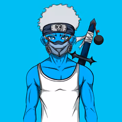 Ninja #2878
