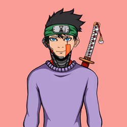 Ninja #8636
