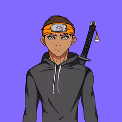 Ninja #3022