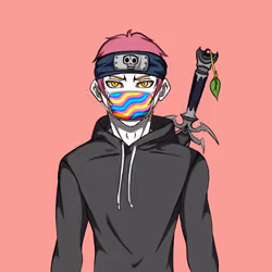Ninja #5623