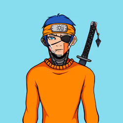 Ninja #2556
