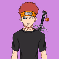 Ninja #8667