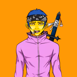 Ninja #4570