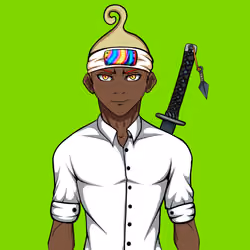Ninja #2173