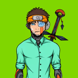 Ninja #7167