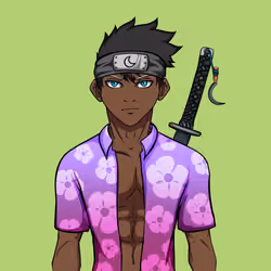 Ninja #1903