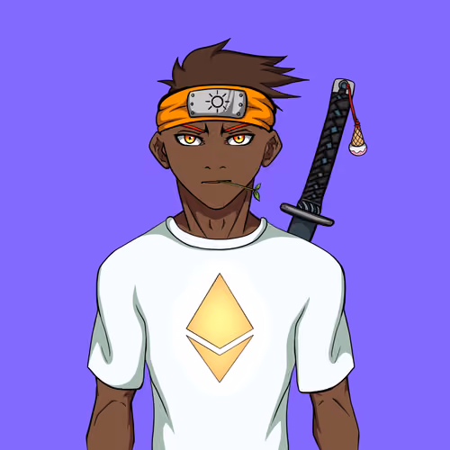 Ninja #1704