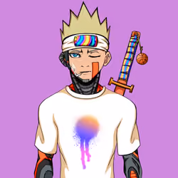 Ninja #419