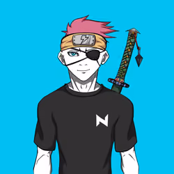 Ninja #2867