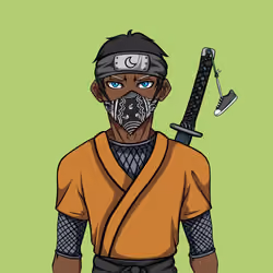 Ninja #2934