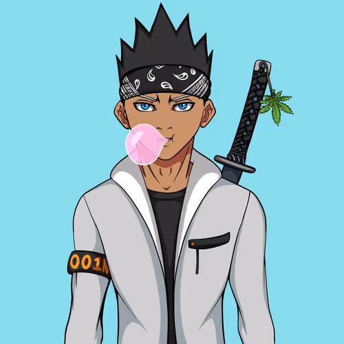 Ninja #4953
