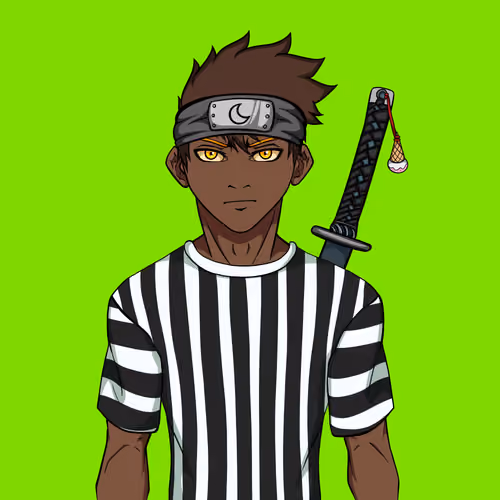 Ninja #489