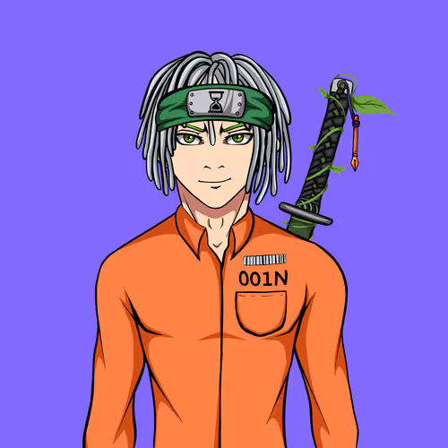 Ninja #4441
