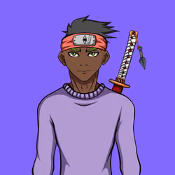 Ninja #2994