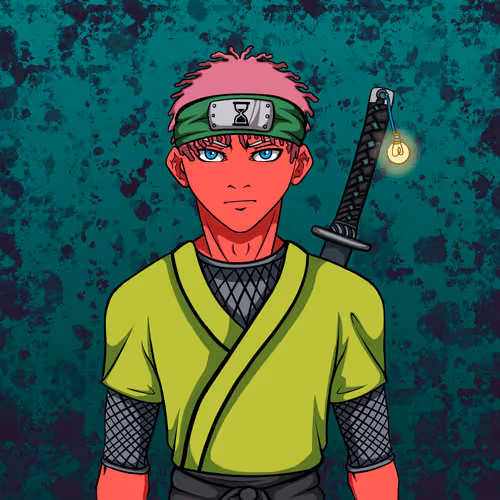Ninja #8880