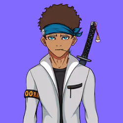 Ninja #6253