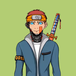 Ninja #1771