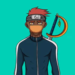 Ninja #8053