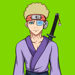 Ninja #1119