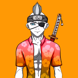 Ninja #6563