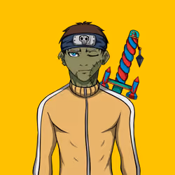 Ninja #2463