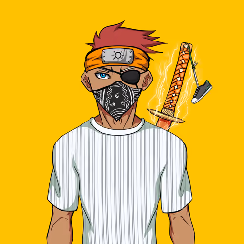 Ninja #2196