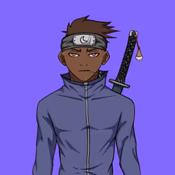 Ninja #2881