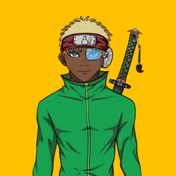 Ninja #8237
