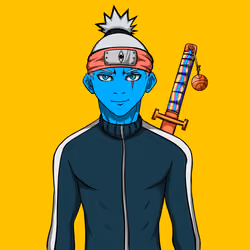 Ninja #2240