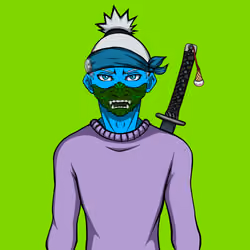 Ninja #5006