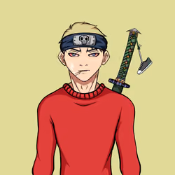 Ninja #3800