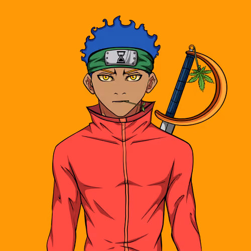 Ninja #4330