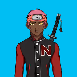 Ninja #6656