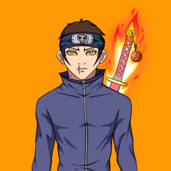 Ninja #7560