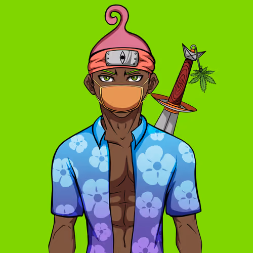 Ninja #8671