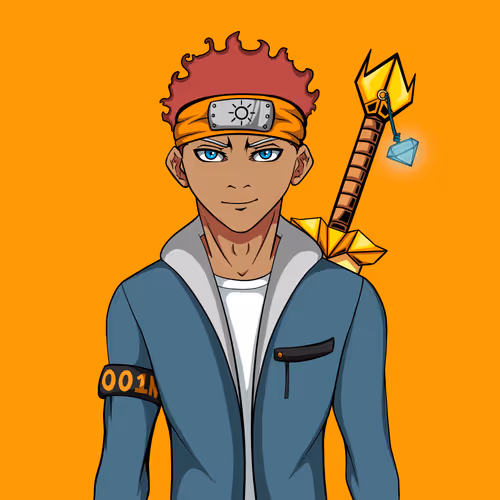 Ninja #5753