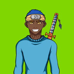 Ninja #66