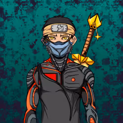 Ninja #1397