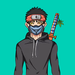 Ninja #7027