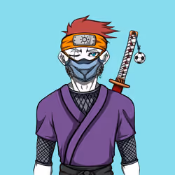 Ninja #4202