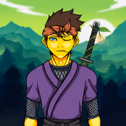 Ninja #2743