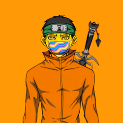 Ninja #884