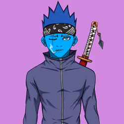 Ninja #5300