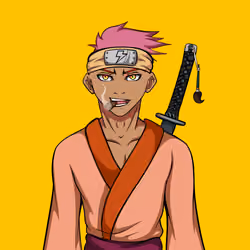 Ninja #2212