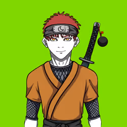 Ninja #2816