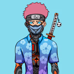Ninja #2799